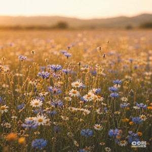 Just Once by Elian Morvay