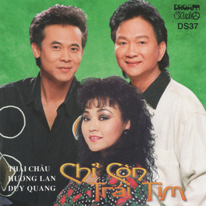 Duy Quang - Sao Em Nỡ Vội Lấy Chồng