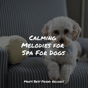 Calming Melodies for Spa For Dogs album