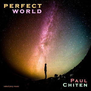 Portada de Perfect World
