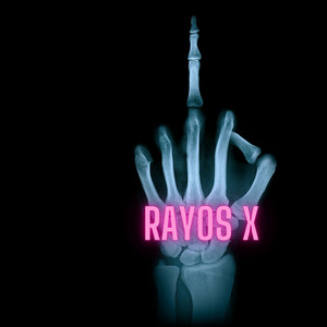 rayos x by animal kingdoom