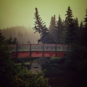 Twilight Forest