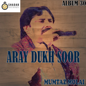 Mumtaz Molai - TO LADH MANAN SAAN