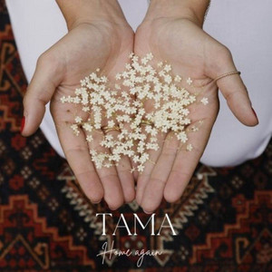 Tama - Root Down (feat. Plexo Sonar)