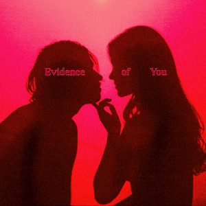 Evidence of You by Sadie Gust