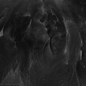 La Noche by Enigmatic Record, Fredy Polort