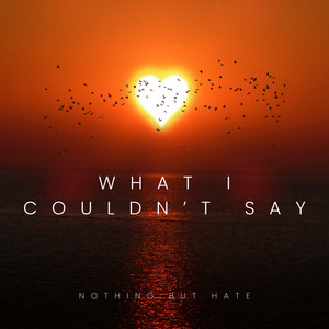What I Couldn’t Say by Nothing But Hate