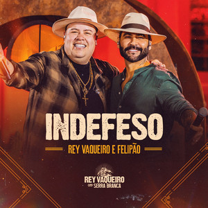 Portada de Indefeso