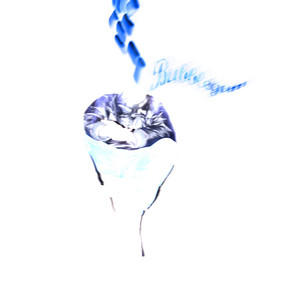 Portada de Bubblegum