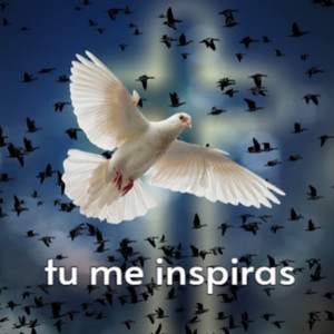 Tu Me Inspiras by judas12