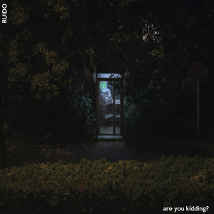 are you kidding? by RUIDO