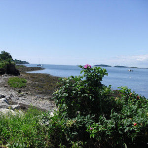 Jimmy Tucker - Jamaica Arise!