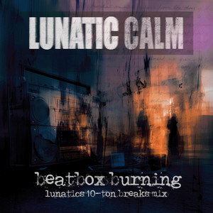 Punkywhitenoisething - song and lyrics by Lunatic Calm | Spotify