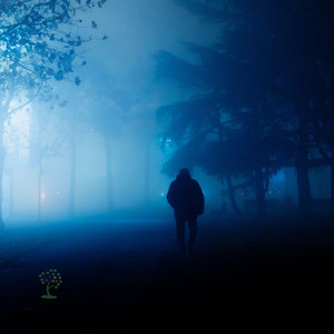 Blue Hour Walk by MindBeat
