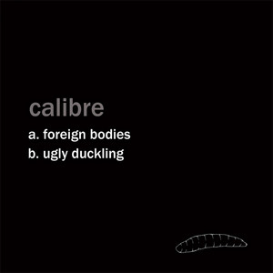Foreign Bodies - Original Mix by Calibre cover art