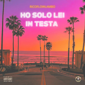Ho Solo Lei In Testa by Ricoflowlambo