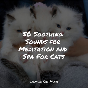 50 Soothing Sounds for Meditation and Spa For Cats album