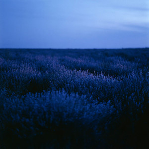 Warm Hum by Room Tone