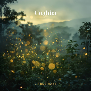 Citrus Haze by Coahira