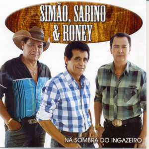 A Volta do Filho by Simão, Sabino & Roney