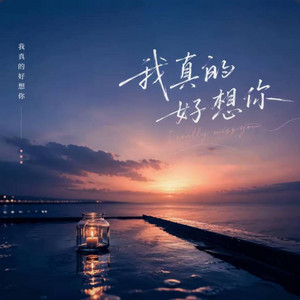 我真的好想你 (R&B) 二朱 by 偶尔呆呆