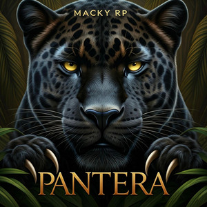 PANTERA by Macky RP