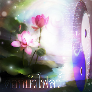Cover art: lotus flow