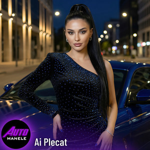 Ai Plecat by Auto Manele