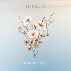 Dosker — Fake Reality