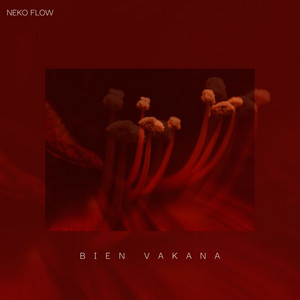 Bien Vakana by Neko Flow