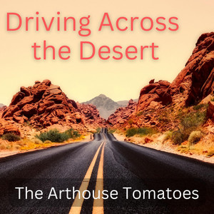 Driving Across the Desert