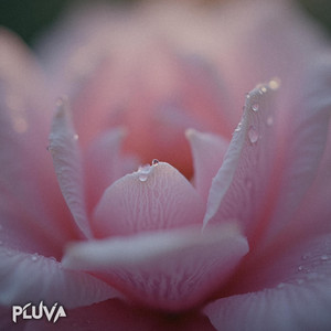 Golden Haze 432 Hz by Pluva