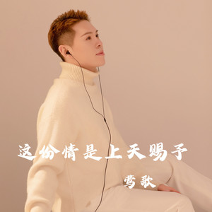 这份情是上天赐予 - Dj版 by 莺歌, 无名