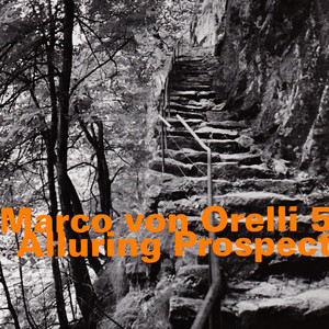 Alluring Prospect — Marco von Orelli 5