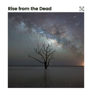 Rise from the Dead album