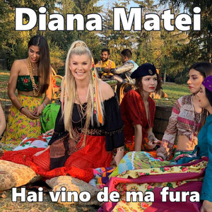 Diana Matei - Hai vino de ma fura