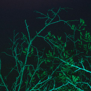 snowbody — Particles