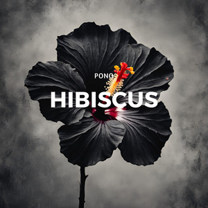 Portada de Hibiscus