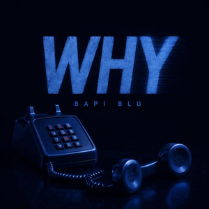 WHY by Bapi Blu