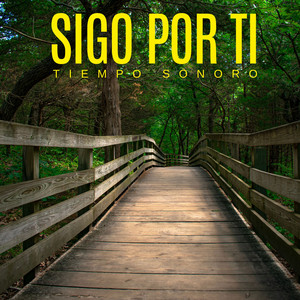 No Lo Veo by Tiempo Sonoro