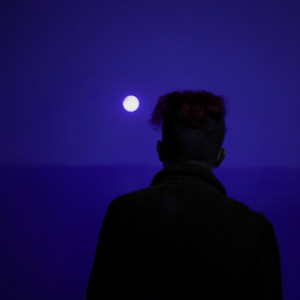 Vinyl Moon by Tony Berk