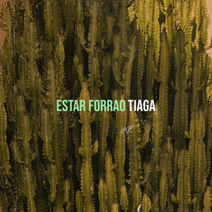 Estar Forrao