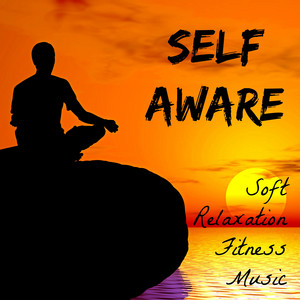 Self Aware - Soft Concentration Relaxation Fitness Music with Lounge New Age Instrumental Dance Sounds album