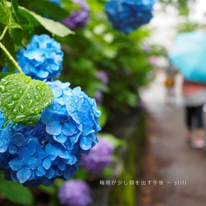 まだ、雨の帰り道 − not yet by YUI