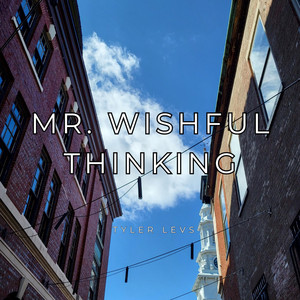 Mr. Wishful Thinking by Tyler Levs