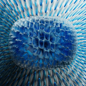 The Remedy by Stereo Suhl