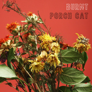 Man of Few Words by Porch Cat