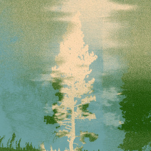 Under a Familiar Sun - Album by The Vernon Spring | Spotify