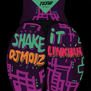 Shake It by DJ Moiz, Linkhan