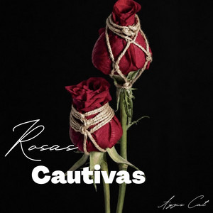 Rosas Cautivas by Ayzis Cat